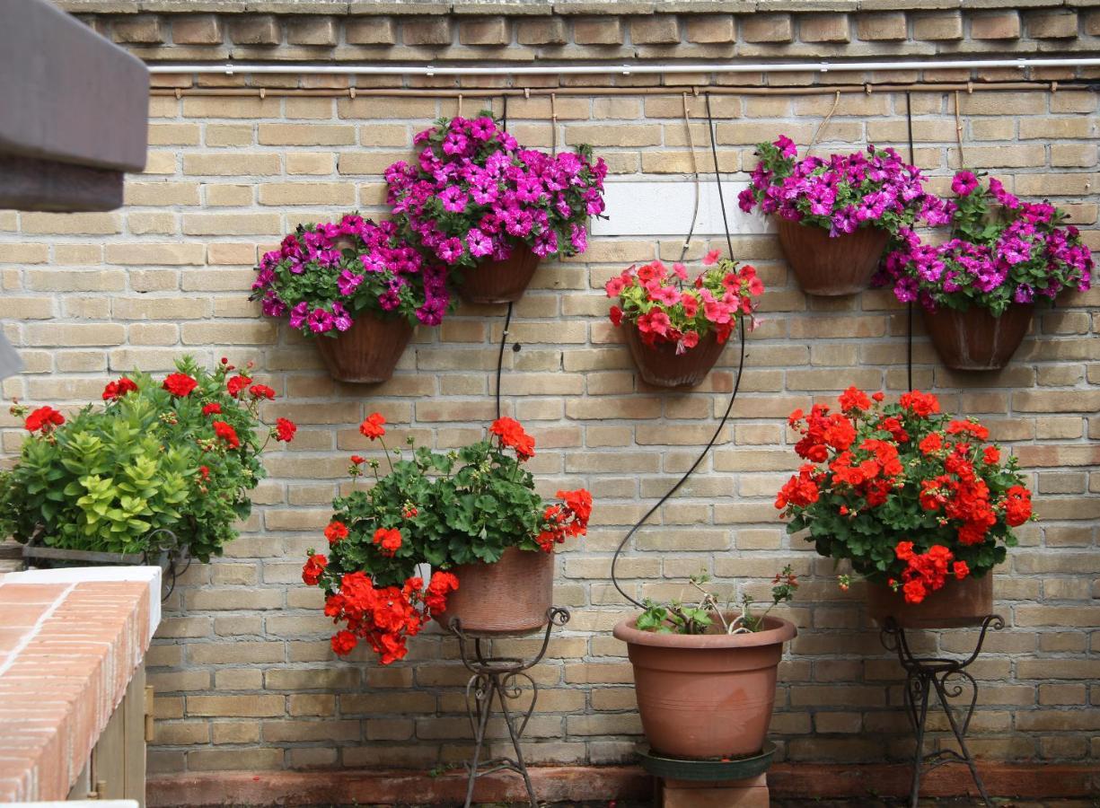 Murano Garden House Apartment ภายนอก รูปภาพ